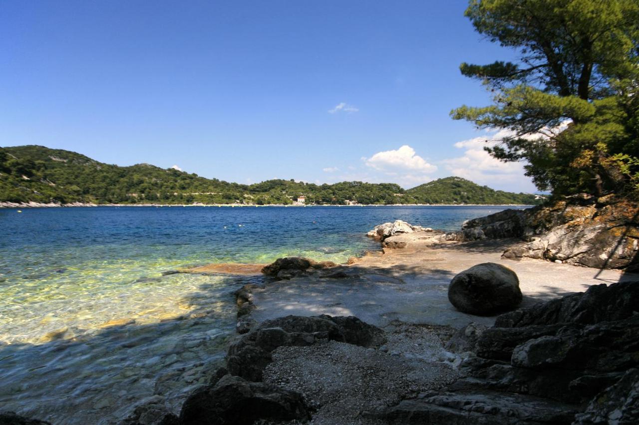 Apartments By The Sea Sobra, Mljet - 4908 Babino Polje Bagian luar foto