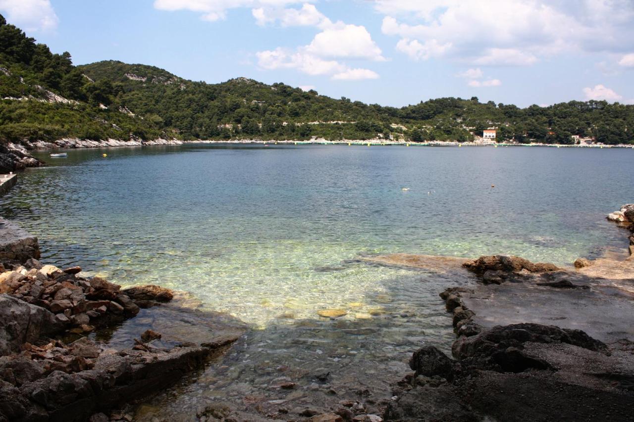 Apartments By The Sea Sobra, Mljet - 4908 Babino Polje Bagian luar foto